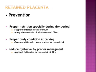 • Prevention
 Proper nutrition specially during dry period
 Supplementation with selenium
 Adequate amounts of vitamin A and fiber
 Proper body condition at calving
 Over-conditioned cows are at an increased risk
 Reduce dystocia– by proper managment
 Assisted deliveries increase risk of RP’s
 