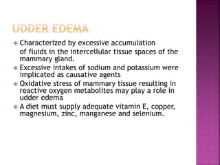  Characterized by excessive accumulation
of fluids in the intercellular tissue spaces of the
mammary gland.
 Excessive intakes of sodium and potassium were
implicated as causative agents
 Oxidative stress of mammary tissue resulting in
reactive oxygen metabolites may play a role in
udder edema
 A diet must supply adequate vitamin E, copper,
magnesium, zinc, manganese and selenium.
 