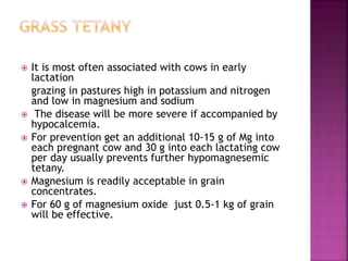  It is most often associated with cows in early
lactation
grazing in pastures high in potassium and nitrogen
and low in magnesium and sodium
 The disease will be more severe if accompanied by
hypocalcemia.
 For prevention get an additional 10-15 g of Mg into
each pregnant cow and 30 g into each lactating cow
per day usually prevents further hypomagnesemic
tetany.
 Magnesium is readily acceptable in grain
concentrates.
 For 60 g of magnesium oxide just 0.5-1 kg of grain
will be effective.
 