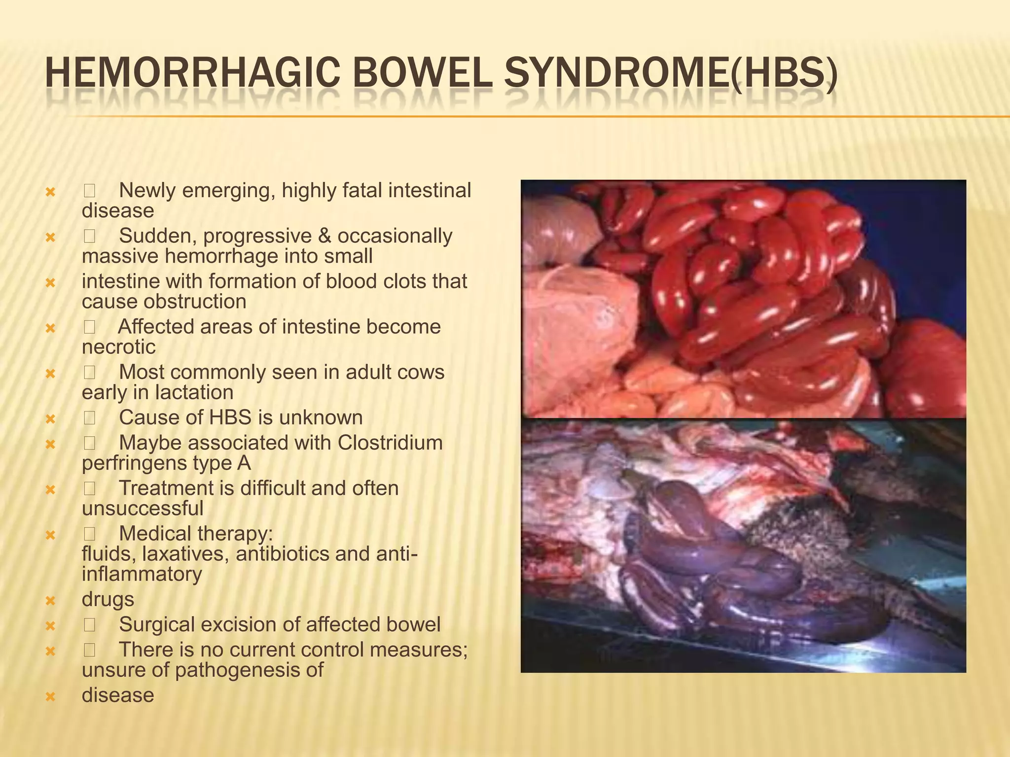 HEMORRHAGIC BOWEL SYNDROME(HBS)
 􀂄 Newly emerging, highly fatal intestinal
disease
 􀂄 Sudden, progressive & occasionally
massive hemorrhage into small
 intestine with formation of blood clots that
cause obstruction
 􀂄 Affected areas of intestine become
necrotic
 􀂄 Most commonly seen in adult cows
early in lactation
 􀂄 Cause of HBS is unknown
 􀂄 Maybe associated with Clostridium
perfringens type A
 􀂄 Treatment is difficult and often
unsuccessful
 􀂄 Medical therapy:
fluids, laxatives, antibiotics and anti-
inflammatory
 drugs
 􀂄 Surgical excision of affected bowel
 􀂄 There is no current control measures;
unsure of pathogenesis of
 disease
 