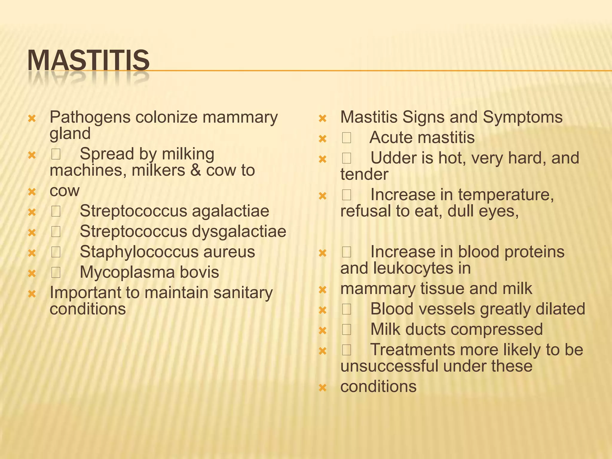 MASTITIS
 Pathogens colonize mammary
gland
 􀂄 Spread by milking
machines, milkers & cow to
 cow
 􀂄 Streptococcus agalactiae
 􀂄 Streptococcus dysgalactiae
 􀂄 Staphylococcus aureus
 􀂄 Mycoplasma bovis
 Important to maintain sanitary
conditions
 Mastitis Signs and Symptoms
 􀂄 Acute mastitis
 􀂄 Udder is hot, very hard, and
tender
 􀂄 Increase in temperature,
refusal to eat, dull eyes,
 􀂄 Increase in blood proteins
and leukocytes in
 mammary tissue and milk
 􀂄 Blood vessels greatly dilated
 􀂄 Milk ducts compressed
 􀂄 Treatments more likely to be
unsuccessful under these
 conditions
 