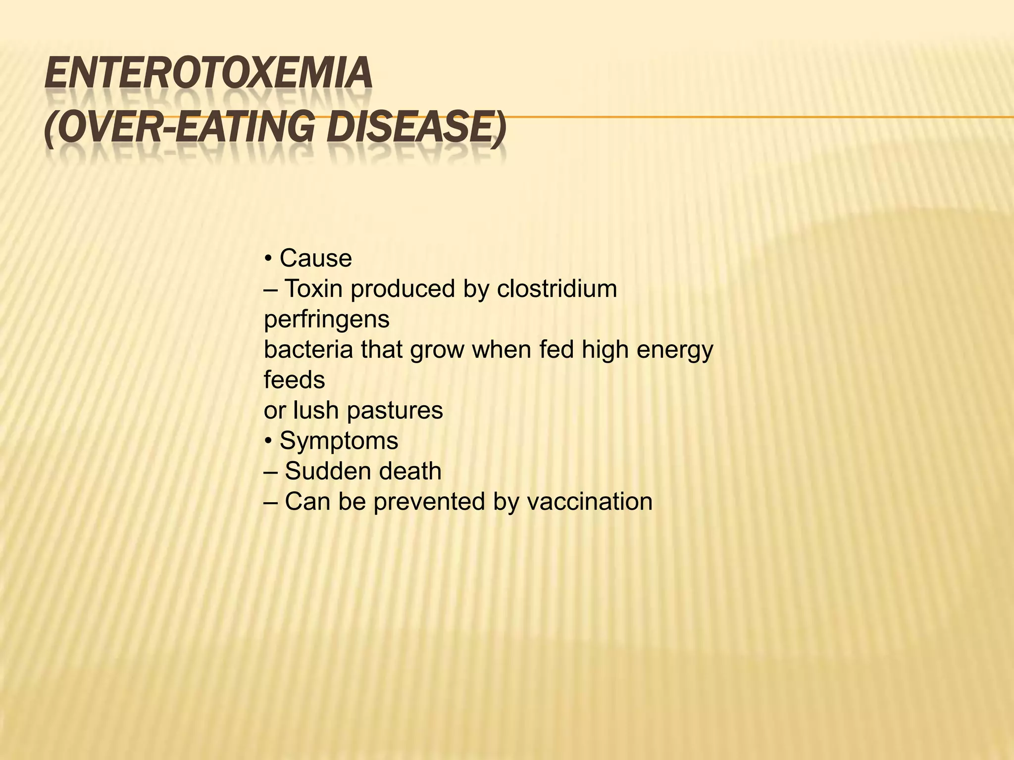 ENTEROTOXEMIA
(OVER-EATING DISEASE)
• Cause
– Toxin produced by clostridium
perfringens
bacteria that grow when fed high energy
feeds
or lush pastures
• Symptoms
– Sudden death
– Can be prevented by vaccination
 