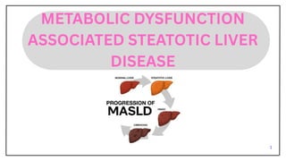 Comprehensive Overview of Metabolic Dysfunction Associated Steatotic ...