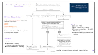 Masld Fib 4 Comprehensive Overview of Metabolic Dysfunction Associated Steatotic ...