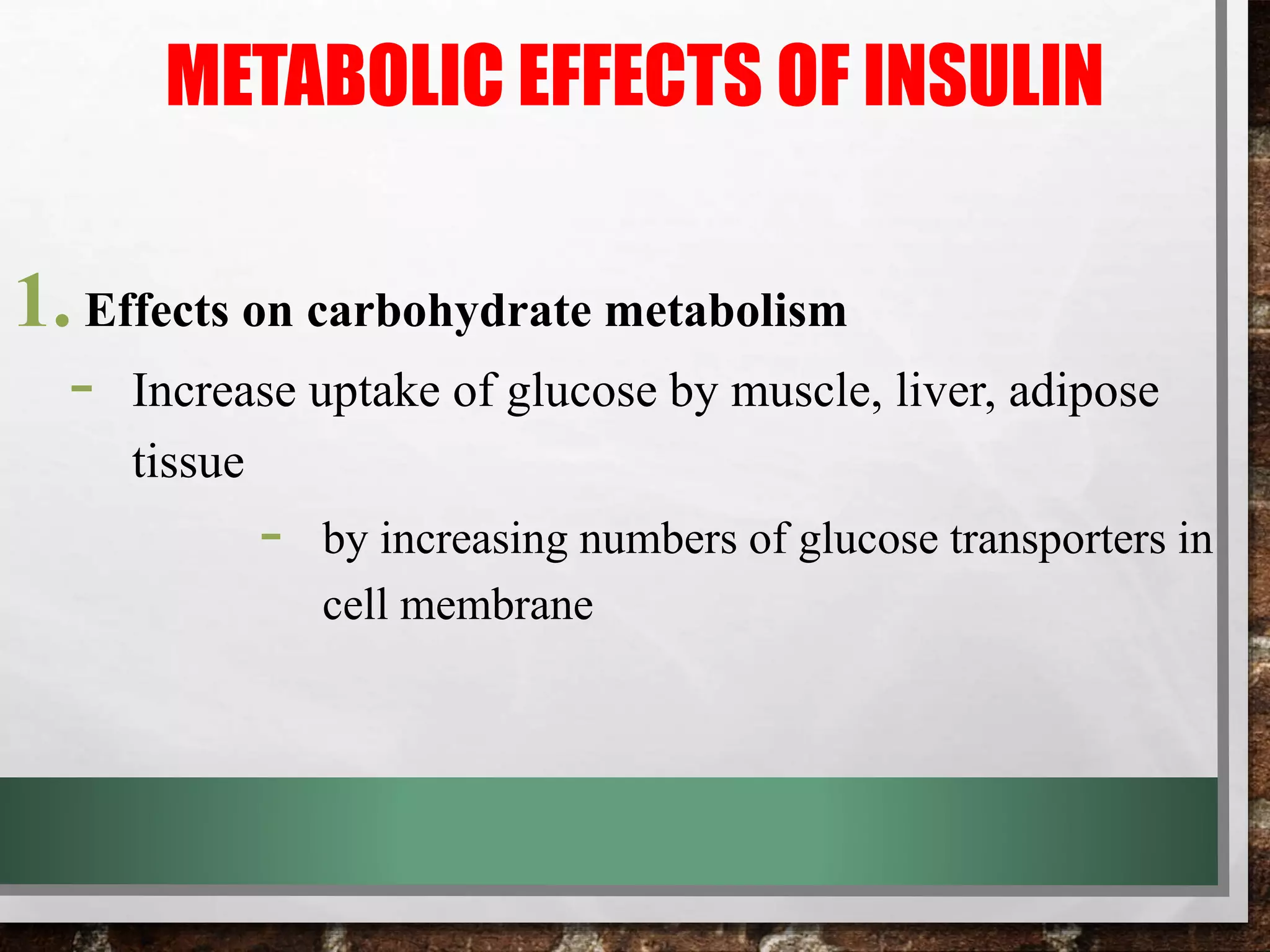 Metabolic effect of insulin and glucagon | PPT