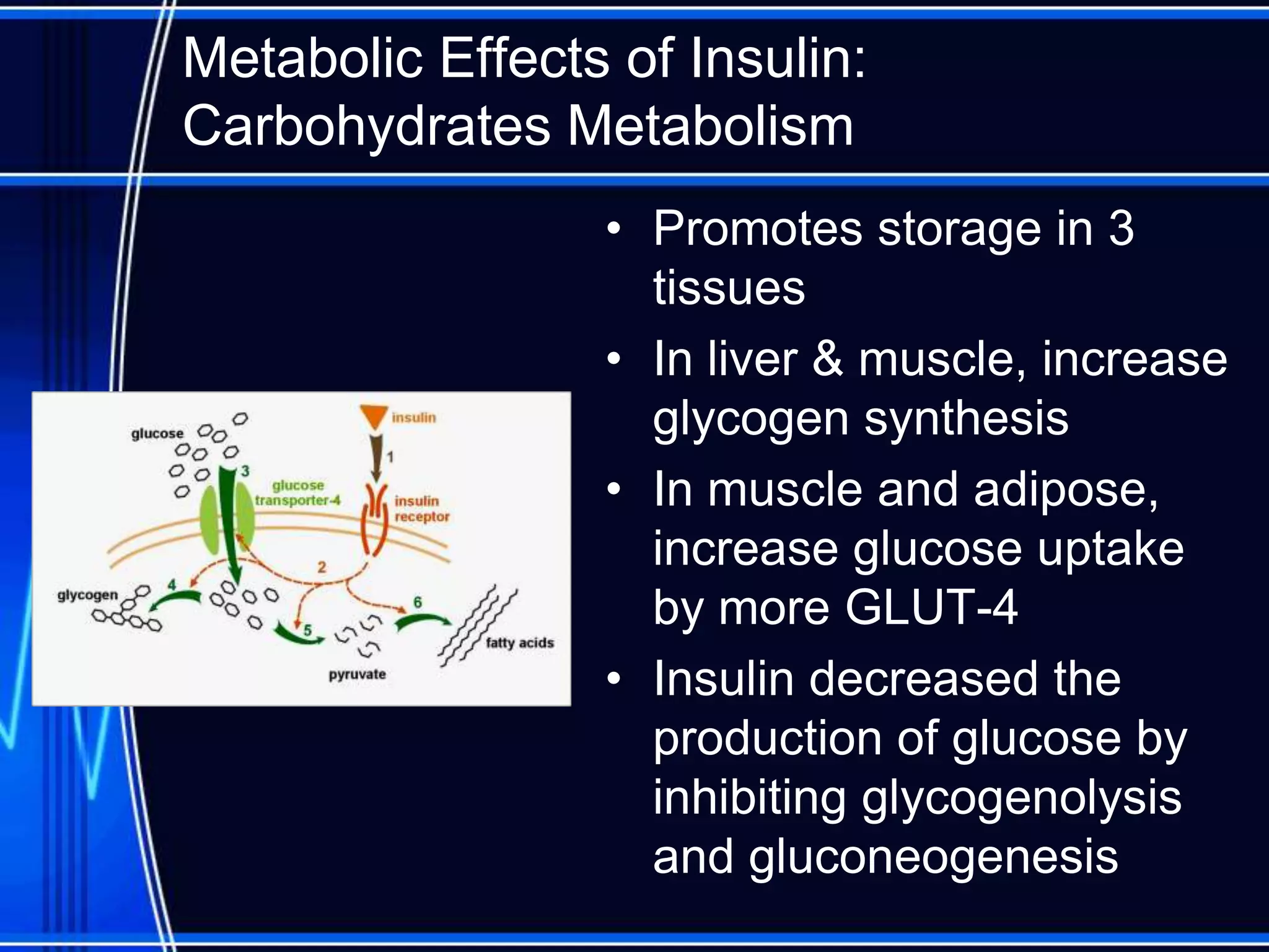 Metabolic Effects of Insulin:
Carbohydrates Metabolism
• Promotes storage in 3
tissues
• In liver & muscle, increase
glycogen synthesis
• In muscle and adipose,
increase glucose uptake
by more GLUT-4
• Insulin decreased the
production of glucose by
inhibiting glycogenolysis
and gluconeogenesis
 