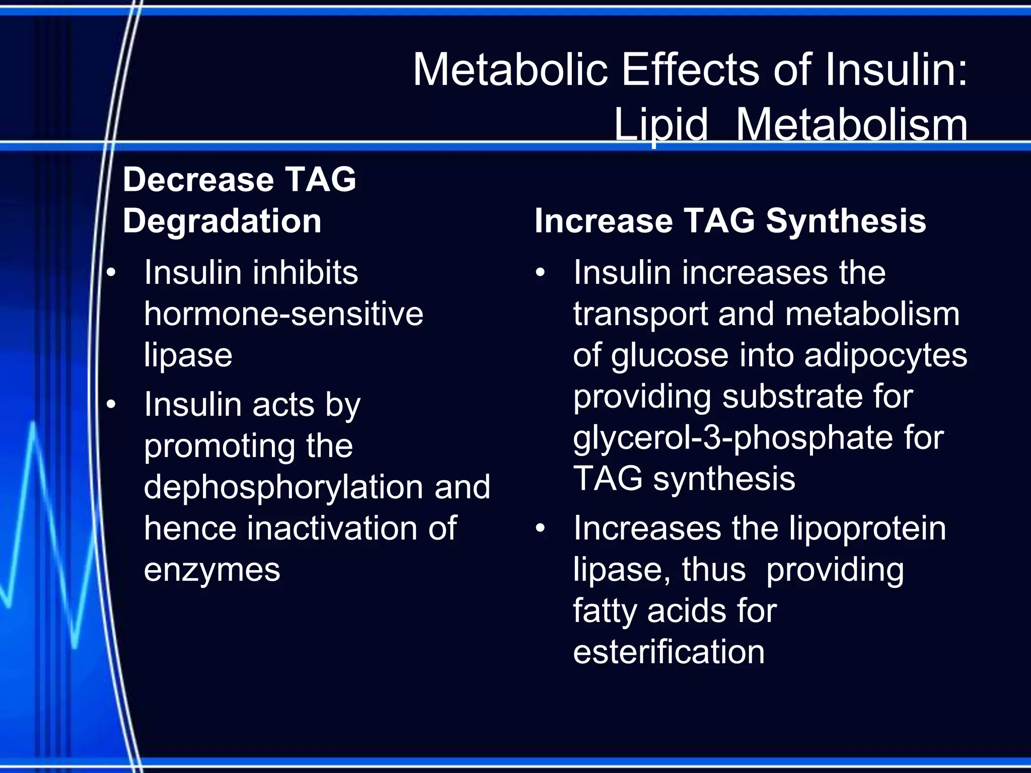 Metabolic Effects of Insulin:
Lipid Metabolism
Decrease TAG
Degradation
• Insulin inhibits
hormone-sensitive
lipase
• Insulin acts by
promoting the
dephosphorylation and
hence inactivation of
enzymes
Increase TAG Synthesis
• Insulin increases the
transport and metabolism
of glucose into adipocytes
providing substrate for
glycerol-3-phosphate for
TAG synthesis
• Increases the lipoprotein
lipase, thus providing
fatty acids for
esterification
 
