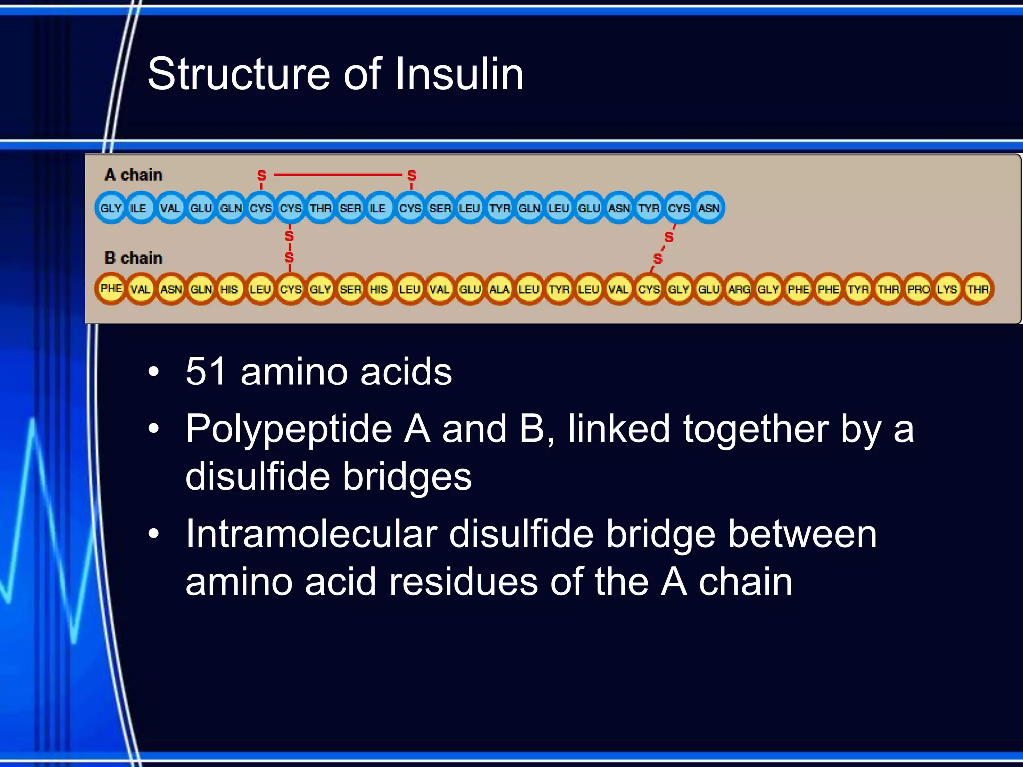 Structure of Insulin
• 51 amino acids
• Polypeptide A and B, linked together by a
disulfide bridges
• Intramolecular disulfide bridge between
amino acid residues of the A chain
 