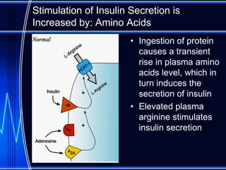 Metabolic Effects of Insulin | PDF