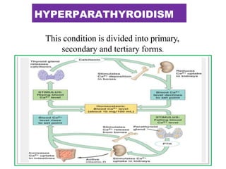 HYPERPARATHYROIDISM
This condition is divided into primary,
secondary and tertiary forms.
 