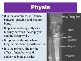 Physis
• It is the anatomical difference
between growing and mature
bone.
• It appears radiologically as a
lucency between the epiphysis
and the metaphysis.
• It represents the site where
longitudinal bone growth occurs.
• It is the primary site for the
effect of metabolic and
endocrine bone disorder.
 