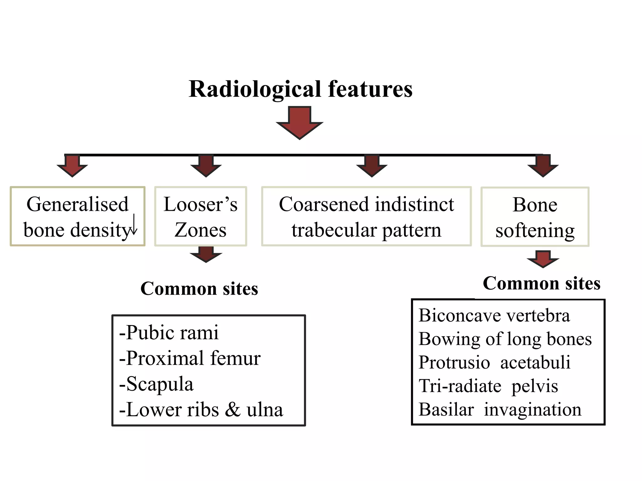 Radiological features
Common sites
-Pubic rami
-Proximal femur
-Scapula
-Lower ribs & ulna
Generalised
bone density
Looser’s
Zones
Coarsened indistinct
trabecular pattern
Bone
softening
Biconcave vertebra
Bowing of long bones
Protrusio acetabuli
Tri-radiate pelvis
Basilar invagination
Common sites
 