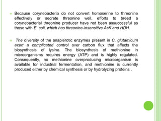  Because corynebacteria do not convert homoserine to threonine
effectively or secrete threonine well, efforts to breed a
corynebacterial threonine producer have not been assuccessful as
those with E. coli, which has threonine-insensitive AsK and HDH.
 The diversity of the anaplerotic enzymes present in C. glutamicum
exert a complicated control over carbon flux that affects the
biosynthesis of lysine. The biosynthesis of methionine in
microorganisms requires energy (ATP) and is highly regulated.
Consequently, no methionine overproducing microorganism is
available for industrial fermentation, and methionine is currently
produced either by chemical synthesis or by hydrolyzing proteins .
 
