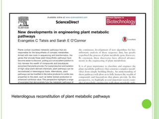 Heterologous reconstitution of plant metabolic pathways
 