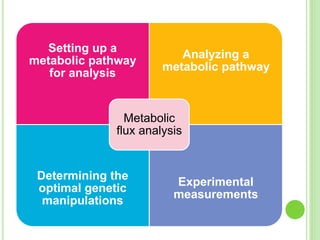 Setting up a
metabolic pathway
for analysis
Analyzing a
metabolic pathway
Determining the
optimal genetic
manipulations
Experimental
measurements
Metabolic
flux analysis
 