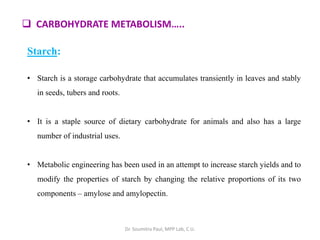  CARBOHYDRATE METABOLISM…..
Starch:
• Starch is a storage carbohydrate that accumulates transiently in leaves and stably
in seeds, tubers and roots.
• It is a staple source of dietary carbohydrate for animals and also has a large
number of industrial uses.
• Metabolic engineering has been used in an attempt to increase starch yields and to
modify the properties of starch by changing the relative proportions of its two
components – amylose and amylopectin.
Dr. Soumitra Paul, MPP Lab, C.U.
 