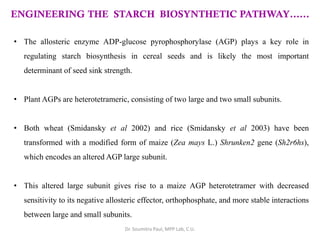 ENGINEERING THE STARCH BIOSYNTHETIC PATHWAY……
• The allosteric enzyme ADP-glucose pyrophosphorylase (AGP) plays a key role in
regulating starch biosynthesis in cereal seeds and is likely the most important
determinant of seed sink strength.
• Plant AGPs are heterotetrameric, consisting of two large and two small subunits.
• Both wheat (Smidansky et al 2002) and rice (Smidansky et al 2003) have been
transformed with a modified form of maize (Zea mays L.) Shrunken2 gene (Sh2r6hs),
which encodes an altered AGP large subunit.
• This altered large subunit gives rise to a maize AGP heterotetramer with decreased
sensitivity to its negative allosteric effector, orthophosphate, and more stable interactions
between large and small subunits.
Dr. Soumitra Paul, MPP Lab, C.U.
 