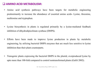  AMINO ACID METABOLISM:
• Amino acid synthesis pathways have been targets for metabolic engineering
predominantly to increase the abundance of essential amino acids- Lysine, threonine,
methionine and tryptophan.
• Lysine biosynthesis in plants is regulated primarily by a lysine-mediated feedback
inhibition of dihydrodipicolinate synthase (DHPS).
• Efforts have been made to improve lysine production in plants by metabolic
engineering, by utilizing bacterial DHPS enzymes that are much less sensitive to lysine
inhibition than their plant counterparts.
• Transgenic plants expressing the bacterial DHPS in the plastid, overproduced lysine by
upto more than 100-fold compared to control nontransformed plants (Galili 2002).
Dr. Soumitra Paul, MPP Lab, C.U.
 