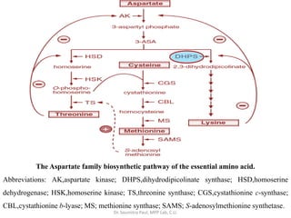 The Aspartate family biosynthetic pathway of the essential amino acid.
Abbreviations: AK,aspartate kinase; DHPS,dihydrodipicolinate synthase; HSD,homoserine
dehydrogenase; HSK,homoserine kinase; TS,threonine synthase; CGS,cystathionine c-synthase;
CBL,cystathionine b-lyase; MS; methionine synthase; SAMS; S-adenosylmethionine synthetase.
Dr. Soumitra Paul, MPP Lab, C.U.
 