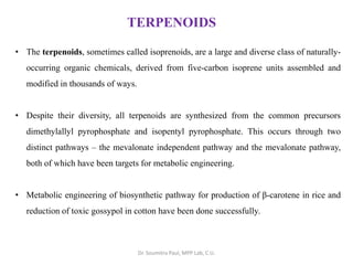TERPENOIDS
• The terpenoids, sometimes called isoprenoids, are a large and diverse class of naturally-
occurring organic chemicals, derived from five-carbon isoprene units assembled and
modified in thousands of ways.
• Despite their diversity, all terpenoids are synthesized from the common precursors
dimethylallyl pyrophosphate and isopentyl pyrophosphate. This occurs through two
distinct pathways – the mevalonate independent pathway and the mevalonate pathway,
both of which have been targets for metabolic engineering.
• Metabolic engineering of biosynthetic pathway for production of β-carotene in rice and
reduction of toxic gossypol in cotton have been done successfully.
Dr. Soumitra Paul, MPP Lab, C.U.
 