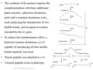 • The synthesis of b-carotene requires the
complementation with three additional
plant enzymes : phytoene desaturase
(pds) and z-carotene desaturase (zds),
each catalyzing the introduction of two
double bonds, and lycopene b-cyclase,
encoded by the lcy gene.
• To reduce the transformation effort, a
bacterial carotene desaturase ,(crt1)
capable of introducing all four double
bonds required, was used
• Transit peptide was attached to crt1
• A transit peptide exists in plant psy
Dr. Soumitra Paul, MPP Lab, C.U.
 