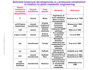 Genes
involved in
carotenoid
biosynthesis
Cloned/
transferred
Crop
species
Remarks Reference
Y1
cloned Maize
Importance of
such regulatory
gene in rice is
conceptualized
Buckner et al. 1990
crtI (Phytene
desaturase)
cloned/
transformed
Erwinia
uredovora/
Tobacco/
Herbicide
resistance;
Increased
Misawa et al 1990,
1993
crtE cloned
Erwinia
herbicola
coding for GGPP
synthase
Math et al 1992
A gene cluster cloned
Erwinia
herbicola
For complete
carotenoid
pathway
To et al 1994
psy transformed Tomato
Resulted in
dwarfism
redirecting the
metabolites from
gibberellin
pathway
Fray et al 1995
lcy cloned Daffodil
Lycopene to
beta-carotene
Al-Babili et al 1996
psy
cloned/
transformed
Daffodil/
Rice
Accumulation of
phytoene in rice
endosperm
Scheldz et al 1996;
Burkardt et al 1997
crtB
(phytoene
synthase)
transformed Brassica
Overexpression
led to increase
in carotenoids
and other
metabolites
Shewmaker et al
1999
Selected historical developments in carotenoid metabolism
in relation to plant metabolic engineeringDr.SoumitraPaul,MPPLab,C.U.
 