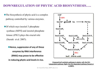 DOWNREGULATION OF PHYTIC ACID BIOSYNTHESIS…..
The biosynthesis of phytic acid is a complex
pathway controlled by various enzymes.
Of which myo inositol 3 phosphate
synthase (MIPS) and inositol phosphate
kinase (IPK1) plays the crucial role
(Suzuki et al. 2007).
Hence, suppression of any of these
enzymes by RNA interference
(RNAi) may prove to be effective
in reducing phytic acid levels in rice.
Proposed InsP synthetic pathways in plants. Left: the PLC-
independent pathway. Right: the PLC-dependent pathway (Suzuki et
al 2007).
Dr. Soumitra Paul, MPP Lab, C.U.
 