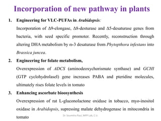 Incorporation of new pathway in plants
1. Engineering for VLC-PUFAs in Arabidopsis:
Incorporation of Δ9-elongase, Δ8-desturase and Δ5-desaturase genes from
bacteria, with seed specific promoter. Recently, reconstruction through
altering DHA metabolism by ɷ-3 desaturase from Phytopthora infestans into
Brassica juncea.
2. Engineering for folate metabolism,
Overexpression of ADCS (aminodeoxychorismate synthase) and GCHI
(GTP cyclohydrolaseI) gene increases PABA and pteridine molecules,
ultimately rises folate levels in tomato
3. Enhancing ascorbate bioosynthesis
Overexpression of rat L-gluconolactone oxidase in tobacco, myo-inositol
oxidase in Arabidopsis, supressing malate dehydrogenase in mitocondria in
tomato Dr. Soumitra Paul, MPP Lab, C.U.
 