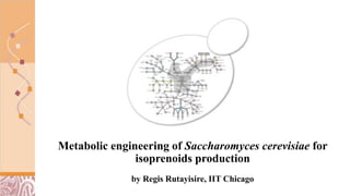 Metabolic engineering of Saccharomyces cerevisiae for
isoprenoids production
by Regis Rutayisire, IIT Chicago
 