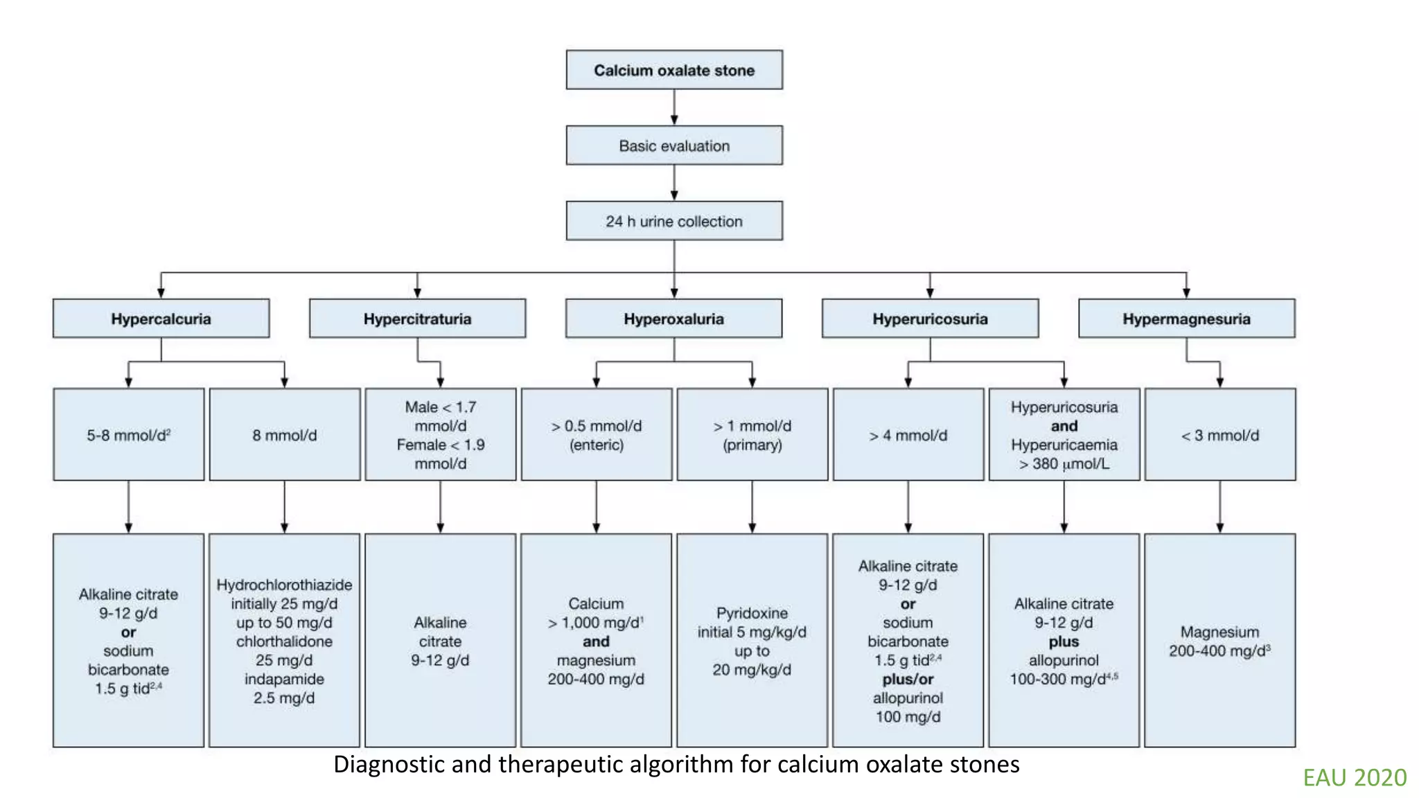Diagnostic and therapeutic algorithm for calcium oxalate stones
EAU 2020
 