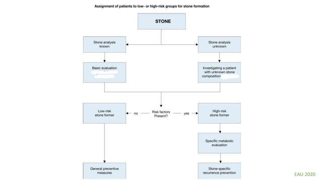 Metabolic evaluation of stone | PPTX