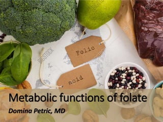 Metabolic functions of folate
Domina Petric, MD
 