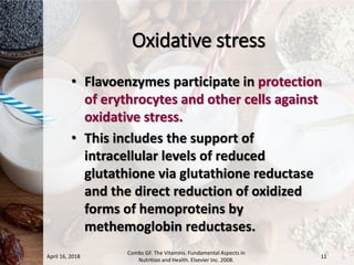 glutathione reductase riboflavin Glutathione reductase main image 1