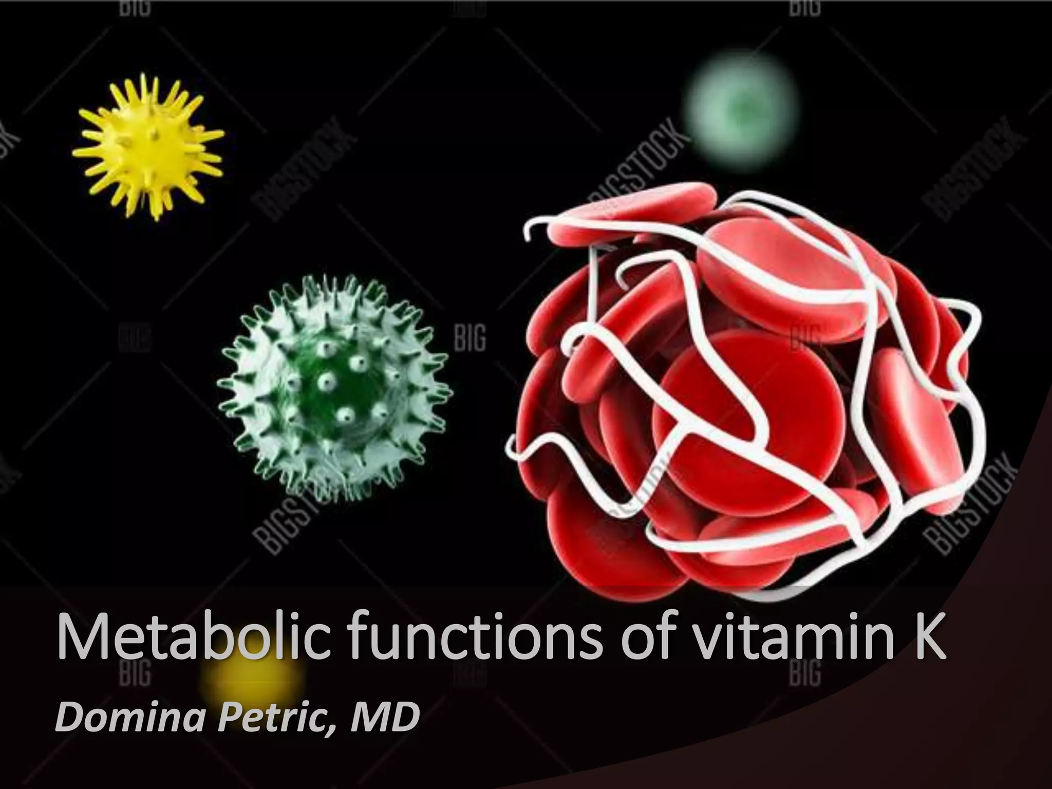 Metabolic functions of vitamin K PPT