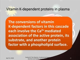 Metabolic functions of vitamin K | PPSX
