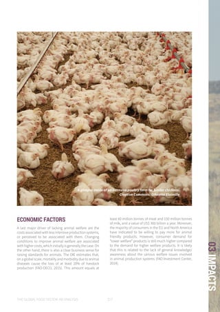 THE GLOBAL FOOD SYSTEM: AN ANALYSIS 117
03IMPACTS
ECONOMIC FACTORS
A last major driver of lacking animal welfare are the
costsassociatedwithlessintensiveproductionsystems,
or perceived to be associated with them. Changing
conditions to improve animal welfare are associated
with higher costs, which initially is generally the case. On
the other hand, there is also a clear business sense for
raising standards for animals. The OIE estimates that,
on a global scale, mortality and morbidity due to animal
diseases cause the loss of at least 20% of livestock
production (FAO-OECD, 2015). This amount equals at
least 60 million tonnes of meat and 150 million tonnes
of milk, and a value of US$ 300 billion a year. Moreover,
the majority of consumers in the EU and North America
have indicated to be willing to pay more for animal
friendly products. However, consumer demand for
“lower welfare” products is still much higher compared
to the demand for higher welfare products. It is likely
that this is related to the lack of general knowledge/
awareness about the various welfare issues involved
in animal production systems (FAO Investment Center,
2014).
A glimpse inside of an intensive poultry farm for broiler chickens.
Creative Commons: Oikeutta Elaimille
 