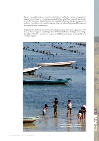 THE GLOBAL FOOD SYSTEM: AN ANALYSIS 119
03IMPACTS
Children playing on the coast.
Creative Commons: Yeowatzup
»» Severe, irreversible, and non-linear impacts that may lead to the crossing of key systemic
tipping points should be prioritized avoided at highest cost. These include impacts in the
areas of: preservation of global biodiversity, mitigation of climate change, management of
soils and essential non-renewable resources, the preservation of culture and heritage, and
the preservation of human health.
»» Impacts within the food system will continue to occur unless the underlying structures that
lead to their emergence are changed. One of the most effective strategies for creating a
transition in the food system is to uncover and address central root causes that lead to
multiple impacts.
 