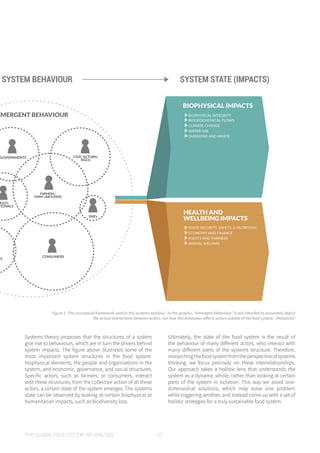 THE GLOBAL FOOD SYSTEM: AN ANALYSIS 13
FARMERS/
FARM LABOURERS
GOVERNMENTS
MULTI-
TIONALS
SMEs
CONSUMERS
CIVIC ACTORS/
NGOs
NS
EMERGENT BEHAVIOUR
BIOGEOCHEMICAL FLOWS
BIOPHYSICAL INTEGRITY
CLIMATE CHANGE
WATER USE
EMISSIONS AND WASTE
ECONOMY AND FINANCE
FOOD SECURITY, SAFETY, & NUTRITION
EQUITY AND FAIRNESS
ANIMAL WELFARE
HEALTH AND
WELLBEING IMPACTS
BIOPHYSICAL IMPACTS
TEM BEHAVIOUR SYSTEM STATE (IMPACTS)
Systems theory proposes that the structures of a system
give rise to behaviours, which are in turn the drivers behind
system impacts. The figure above illustrates some of the
most important system structures in the food system:
biophysical elements, the people and organisations in the
system, and economic, governance, and social structures.
Specific actors, such as farmers, or consumers, interact
with these structures; from the collective action of all these
actors, a certain state of the system emerges. The systems
state can be observed by looking at certain biophysical or
humanitarian impacts, such as biodiversity loss.
Figure 1. The conceptual framework used in this systems analysis. In this graphic, “emergent behaviour” is not intended to accurately depict
the actual interactions between actors, nor how this behaviour affects actors outside of the food system. (Metabolic)
Ultimately, the state of the food system is the result of
the behaviour of many different actors, who interact with
many different parts of the systems structure. Therefore,
researchingthefoodsystemfromtheperspectiveofsystems
thinking, we focus precisely on these interrelationships.
Our approach takes a holistic lens that understands the
system as a dynamic whole, rather than looking at certain
parts of the system in isolation. This way we avoid one-
dimensional solutions, which may solve one problem
while triggering another, and instead come up with a set of
holistic strategies for a truly sustainable food system.
SYSTEM BEHAVIOUR SYSTEM STATE (IMPACTS)
 