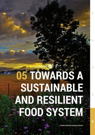 THE GLOBAL FOOD SYSTEM: AN ANALYSIS 139
Creative Commons: Barbara Eckstein
05 TOWARDS A
SUSTAINABLE
AND RESILIENT
FOOD SYSTEM
0102030405
 
