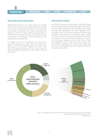20
NON-FOOD USES OF FOOD CROPS
Besides fibres, tobacco, and rubber, which are inedible
and grown for industrial uses, a significant fraction of food
crops is used for purposes other than human or animal
consumption, occupying 12% of arable land globally. The
majority of these are crops used for the production of
biofuels. Other uses of these crops include the production
of materials, like bioplastics, chemical substances with
industrial uses, and medicines.
The largest sources of crop-derived raw materials for
industrial processing are, sugar (47%) and cereal crops
(36%). In terms of the total production of these crops,
15% of the sugar produced, 10% of cereal crops and
36% of vegetable oils produced are destined for industrial
processing.
POST-HARVEST LOSSES
Just under five percent of crop output is lost before being
consumedorprocessed,representingatotalof5%ofarable
land use. Roots and tubers suffer the highest percentage
of losses (10%) followed by fruits (9%), vegetables (8%),
and sugar crops (7%). Roots and tubers suffer most losses
during the post-harvest and processing stages mainly
since fresh roots and tubers are perishable and susceptible
to damage or disease post-harvest, especially in places
that lack proper storage facilities. In the case of fruits
and vegetables, losses mostly result from damage due
to handling or spoilage. In the case of sugar crops, most
losses occur during distribution and industrial processing
(Gustavsson et al., 2011).
TOTAL
LAND AVAILABLE
ON EARTH
(billion hectares)
FOOD (0.67 billion ha)
FEED (0.49 billion ha)
CROPS FOR INDUSTRY (0.18 billion ha)
WASTED DUE TO LOSSES (0.08 billion ha)
PRODUCTION OF SEEDS (0.03 billion ha)
NON-FOOD CROPS (0.03 billion ha)
ARABLE
LAND
(1.5 billion ha)
PASTURES
(3.4 billion ha)
FORESTS
(3.7 billion ha)
OTHER
(6.2 billion ha)
Figure 2: A breakdown of how global land is divided into basic functional categories and how arable
land is specifically divided into different functions.
(FAOSTAT, 2015)
PRODUCTION PROCESSING TRADE RETAIL CONSUMPTION WASTE
 