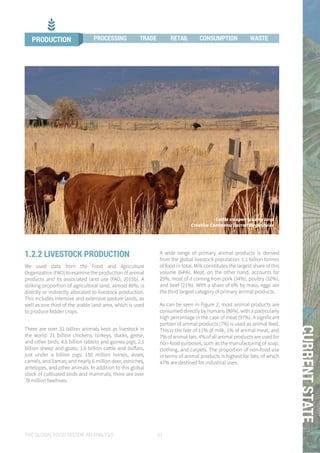 THE GLOBAL FOOD SYSTEM: AN ANALYSIS 21
01CURRENTSTATE
Cattle on open grazing land
Creative Commons: Darron Birgenheier
1.2.2 LIVESTOCK PRODUCTION
We used data from the Food and Agriculture
Organization (FAO) to examine the production of animal
products and its associated land use (FAO, 2015b). A
striking proportion of agricultural land, almost 80%, is
directly or indirectly allocated to livestock production.
This includes intensive and extensive pasture lands, as
well as one third of the arable land area, which is used
to produce fodder crops.
There are over 31 billion animals kept as livestock in
the world: 21 billion chickens, turkeys, ducks, geese,
and other birds; 4.6 billion rabbits and guinea pigs; 2.1
billion sheep and goats; 1.6 billion cattle and buffalo,
just under a billion pigs; 150 million horses, asses,
camels, and llamas; and nearly 6 million deer, ostriches,
antelopes, and other animals. In addition to this global
stock of cultivated birds and mammals, there are over
78 million beehives.
A wide range of primary animal products is derived
from the global livestock population: 1.1 billion tonnes
of food in total. Milk constitutes the largest share of this
volume (64%). Meat, on the other hand, accounts for
25%, most of it coming from pork (34%), poultry (32%),
and beef (21%). With a share of 6% by mass, eggs are
the third largest category of primary animal products.
As can be seen in Figure 2, most animal products are
consumed directly by humans (86%), with a particularly
high percentage in the case of meat (97%). A significant
portion of animal products (7%) is used as animal feed.
This is the fate of 11% of milk, 1% of animal meat, and
7% of animal fats. 4% of all animal products are used for
non-food purposes, such as the manufacturing of soap,
clothing, and carpets. The proportion of non-food use
in terms of animal products is highest for fats, of which
47% are destined for industrial uses.
PRODUCTION PROCESSING TRADE RETAIL CONSUMPTION WASTE
 