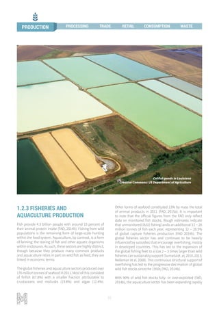 22
1.2.3 FISHERIES AND
AQUACULTURE PRODUCTION
Fish provide 4.3 billion people with around 15 percent of
their animal protein intake (FAO, 2014b). Fishing from wild
populations is the remaining form of large-scale hunting
within the food system. Aquaculture, by contrast, is a form
of farming: the rearing of fish and other aquatic organisms
within enclosures. As such, these sectors are highly distinct,
though because they produce many common products
and aquaculture relies in part on wild fish as feed, they are
linked in economic terms.
The global fisheries and aquaculture sectors produced over
176 million tonnes of seafood in 2011. Most of this consisted
of finfish (67.8%) with a smaller fraction attributable to
crustaceans and mollusks (19.8%) and algae (12.4%).
Other forms of seafood constituted 13% by mass the total
of animal products in 2011 (FAO, 2015a). It is important
to note that the official figures from the FAO only reflect
data on monitored fish stocks. Rough estimates indicate
that unmonitored (IUU) fishing lands an additional 11 – 26
million tonnes of fish each year, representing 12 – 28.5%
of global capture fisheries production (FAO 2014b). The
global fisheries sector has and continues to be heavily
influenced by subsidies that encourage overfishing, mostly
in developed countries. This has led to the expansion of
the global fishing fleet to a size 2 – 3 times larger than wild
fisheries can sustainably support (Sumaila et. al, 2010, 2013;
Nelleman et al, 2008). This continuous structural support of
overfishing has led to the progressive decimation of global
wild fish stocks since the 1950s (FAO, 2014b).
With 90% of wild fish stocks fully- or over-exploited (FAO,
2014b), the aquaculture sector has been expanding rapidly
Catfish ponds in Louisiana
Creative Commons: US Department of Agriculture
PRODUCTION PROCESSING TRADE RETAIL CONSUMPTION WASTE
 