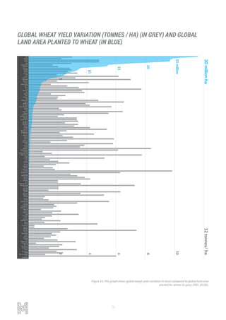 70
India
Russia
China
China
USA
Kazakhstan
Australia
Pakistan
Canada
Turkey
Ukraine
Iran
France
Argentina
Germany
Morocco
Poland
Afghanistan
Brazil
Spain
U.K.
Romania
Italy
Algeria
Syria
Ethiopia
Iraq
Uzbekistan
Egypt
Bulgaria
Hungary
Czech Republic
Tunisia
Nepal
Denmark
Mexico
Azerbaijan
Turkmenistan
Belarus
South Africa
Uruguay
Paraguay
Lithuania
Greece
Serbia
Sweden
Bangladesh
Kyrgyzstan
Slovakia
Tajikistan
Latvia
Austria
Moldova
Mongolia
Chile
Finland
Japan
Belgium
Saudi Arabia
Bolivia
Sudan (former)
Netherlands
Libya
Croatia
Peru
Kenya
Estonia
Yemen
Tanzania
Nigeria
Myanmar
Ireland
Switzerland
Armenia
Macedonia
Norway
Albania
N. Korea
Israel
Bosnia & Herz.
New Zealand
Georgia
Rwanda
Portugal
Zambia
Lebanon
Slovenia
Eritrea
Lesotho
Jordan
Luxembourg
S. Korea
Uganda
Zimbabwe
Mozambique
Burundi
Cyprus
Palestine
Mali
Colombia
D.R.C.
Ecuador
Madagascar
Angola
Malta
Honduras
Somalia
Bhutan
Namibia
Taiwan
Mauritania
Niger
Malawi
Thailand
Chad
Montenegro
Venezuela
Kuwait
Guatemala
Cameroon
Oman
Swaziland
Qatar
New Caledonia
U.A.E.
Botswana
30millionha12tonnes/ha
10
8
6
4
2
25million
20
15
10
5
GLOBAL WHEAT YIELD VARIATION (TONNES / HA) (IN GREY) AND GLOBAL
LAND AREA PLANTED TO WHEAT (IN BLUE)
Figure 16: This graph shows global weigh yield variation (in blue) compared to global land area
planted for wheat (in grey).(FAO, 2015b).
 