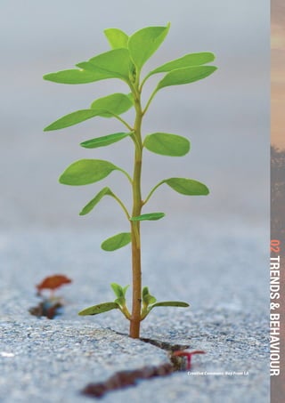 THE GLOBAL FOOD SYSTEM: AN ANALYSIS 85
02TRENDS&BEHAVIOUR
Creative Commons: Ray From LA
 