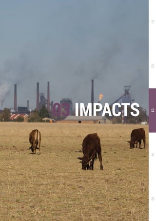 THE GLOBAL FOOD SYSTEM: AN ANALYSIS 87
03 IMPACTS
0102030405
 