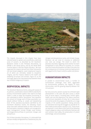 THE GLOBAL FOOD SYSTEM: AN ANALYSIS 89
03IMPACTS
The impacts discussed in this chapter have been
selected based on global and scientifically underlined
areas of concern, as described by the Stockholm
Resilience Centre in the Planetary Boundaries, by
OXFAM in the Social Donut, and by the World Wide
Fund for Nature in the One Planet indicators. We have
organized the impacts derived from these frameworks
into two broad categories: seven biophysical impacts,
all of which are ultimately related to biospheric
integrity, and five impacts related to the health and
wellbeing of humans and animals. Figure 19, on the
next page, depicts the interrelationships between these
two umbrella categories of impacts.
BIOPHYSICAL IMPACTS
The Stockholm Resilience Centre, along with several of
its partners, coordinated a research effort to identify the
primary environmental systems that need to be kept
stable in order to keep the biosphere functioning. It
also attempted to define “boundaries” that represent
the amount of change each of these parameters can
absorb without hitting an unsafe and destabilizing
level. Of the planetary boundaries identified by the
Stockholm Resilience Centre, the following impact
areas have been selected based on their relevance to
the food system: biospheric integrity, soil management,
water management, climate change, novel entities,
and biogeochemical flows (in particular, nitrogen and
phosphorus).
Out of these planetary boundaries, it is estimated that
we have already transgressed four: biodiversity loss, the
nitrogen and phosphorous cycles, and climate change.
Moreover, we are close to crossing an additional
one: land use change. The extent to which the
planetary boundary regarding novel entities has been
transgressed is more difficult to quantify. It is unclear
how much stress the biosphere can take in this area, but
the consequences of crossing a potential tipping point
with regard to this impact could be sudden and severe.
HUMANITARIAN IMPACTS
In parallel to environmental issues, a number of
humanitarian challenges have been aggravated
by environmental problems, the fragility of many
communities, and the growing disparity between the
rich and poor.
By many accounts, western society has achieved rapid
advancement in the past 100 years across a whole
host of social metrics, including basic human rights,
health care and life expectancy, fair labour practices,
and minimum standards of living. Yet in many places
around the world, this progress is hardly felt, as a large
majority of the world’s population relying primarily
on subsistence farming still struggles to provide for its
basic needs (as discussed in section 1.2.6). These issues
are explored in more detail at the hand of the following
impact categories: labour and livelihoods, food security
and nutrition, food safety, the preservation of culture
and heritage, and animal welfare.
Large scale deforestation in Brazil.
Creative Commons: Vincentraal
 