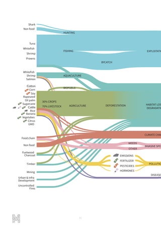 92
Mining
Urban & infra
Development
Fuelwood
Charcoal
Timber
Uncontrolled
Fires
Food chain
Non food
GMO
Salmon
Shrimp
Rapeseed
Soy
Oil palm
Rice
Sugarcane
Corn
Whiteﬁsh
Tuna
Whiteﬁsh
Shrimp
Prawns
Shark
Non food
Banana
Vegetabes
Citrus
EXPLOITATIOFISHING
BYCATCH
HUNTING
AQUACULTURE
DEFORESTATION HABITAT LOS
DEGRADATIO
30% CROPS
70% LIVESTOCK
BIOFUELS
AGRICULTURE
DISEASE
POLLUTIO
INVASIVE SPEC
CLIMATE CHAN
WEEDS
OTHER
EMISSIONS
FERTILIZER
PESTICIDES
HORMONES
 