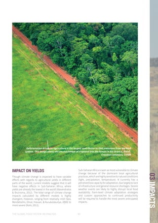 THE GLOBAL FOOD SYSTEM: AN ANALYSIS 99
03IMPACTSDeforestation driven by agriculture is the largest contributor to GHG emissions from the food
system. This image shows the encroachment of cropland into the forests in Rio Branco, Brazil.
Creative Commons: CIFOR
IMPACT ON YIELDS
Though climate change is expected to have variable
effects with regards to agricultural yields in different
parts of the world, current models suggest that it will
have negative effects in Sub-Saharan Africa, where
yields are already the lowest in the world (Alexandratos
& Bruinsma, 2012). The total range of climate change
impacts calculated by different models is highly
divergent, however, ranging from relatively mild (Seo,
Mendelsohn, Dinar, Hassan, & Kurukulasuriya, 2009) to
more severe (Kotir, 2011).
Sub-Saharan Africa is seen as most vulnerable to climate
change because of the dominant local agricultural
practices,whicharehighlysensitivetonaturalconditions
(light, precipitation, temperature). It currently has a
perceivedlowcapacityforadaptation,duelargelytolack
of infrastructure and general resource shortages. Severe
weather events are likely to highly disrupt local food
availability. Farm-level climate adaptation strategies
and custom approaches to continued productivity
will be required to handle the most severe anticipated
impacts.
 