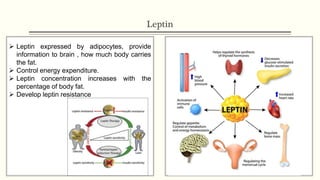 Leptin
 Leptin expressed by adipocytes, provide
information to brain , how much body carries
the fat.
 Control energy expenditure.
 Leptin concentration increases with the
percentage of body fat.
 Develop leptin resistance
 