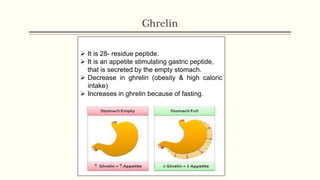 Ghrelin
 It is 28- residue peptide.
 It is an appetite stimulating gastric peptide,
that is secreted by the empty stomach.
 Decrease in ghrelin (obesity & high caloric
intake)
 Increases in ghrelin because of fasting.
 